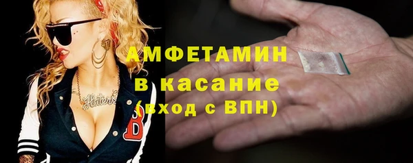 стаф Аркадак