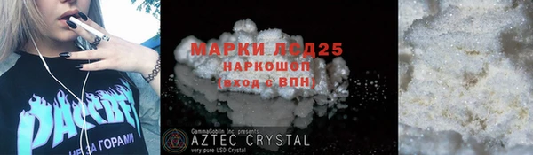 стаф Аркадак