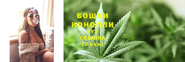 стаф Аркадак