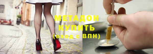 стаф Аркадак