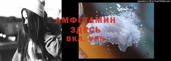 стаф Аркадак
