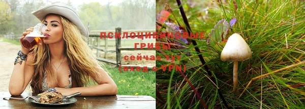ALPHA PVP Арсеньев