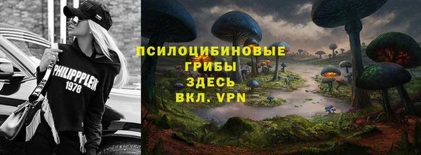 стаф Аркадак