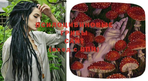метадон Армянск