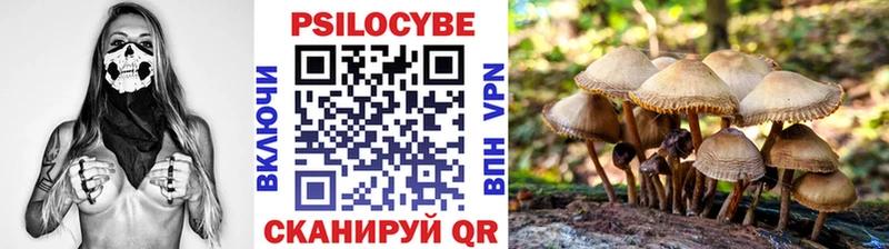 Галлюциногенные грибы Magic Shrooms  Волгодонск 
