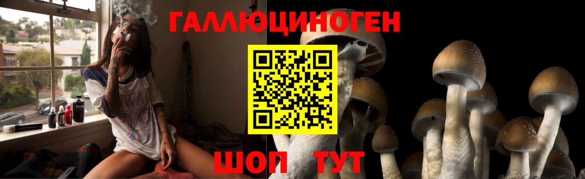 закладки  Вход с VPN  Волгодонск  Псилоцибиновые грибы ЛСД 
