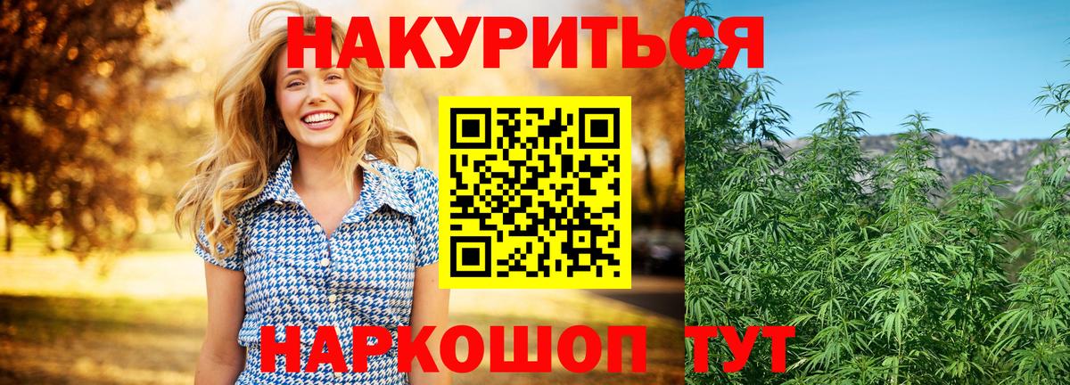 Каннабис White Widow  МАРИХУАНА сатива  Вход с VPN  Волгодонск  Бошки марихуана SATIVA & INDICA 
